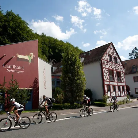 Behringers Freizeit - und Tagungshotel-3